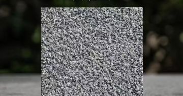 扬州 芝麻黑荔枝面