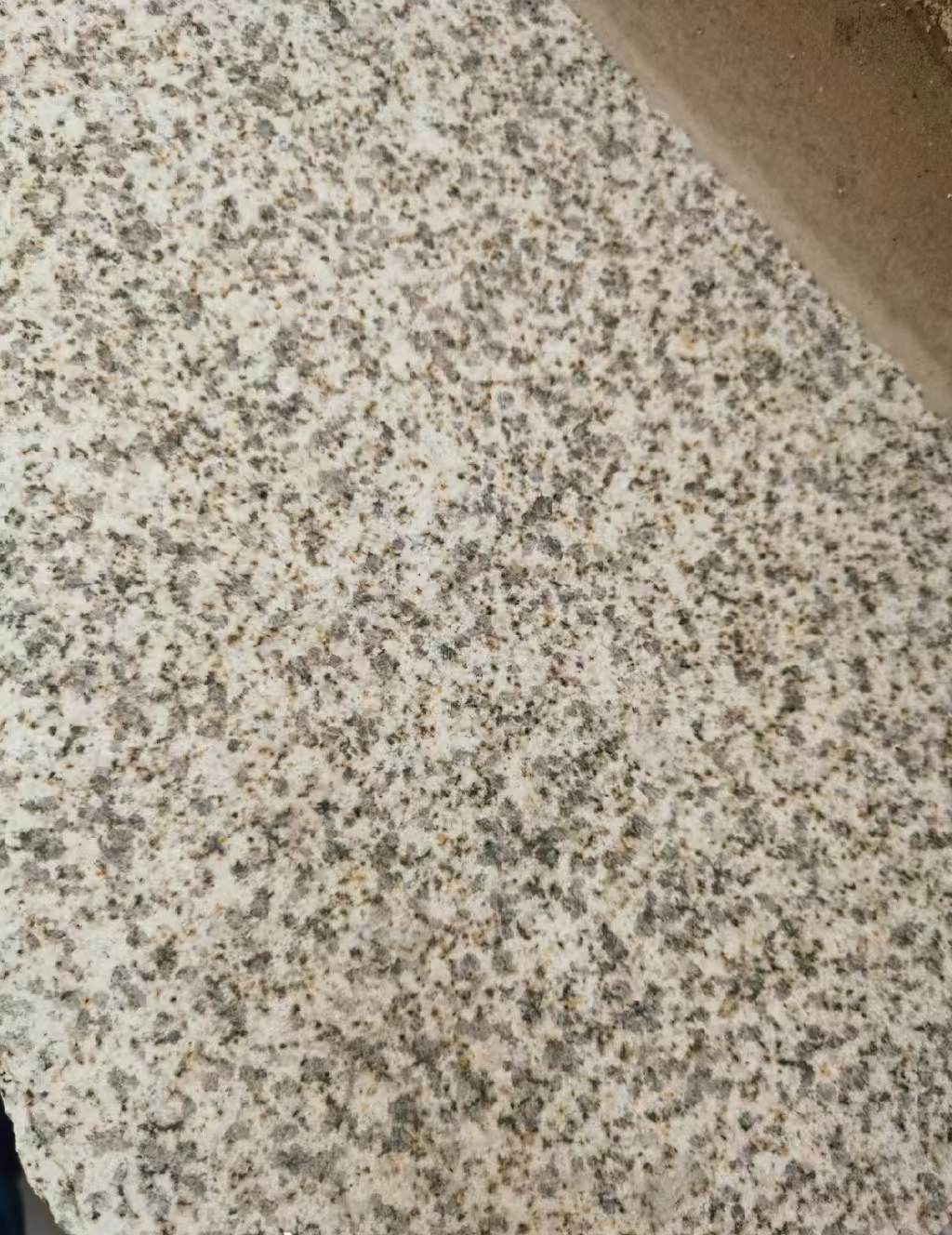 扬州 黄金麻中黄光面