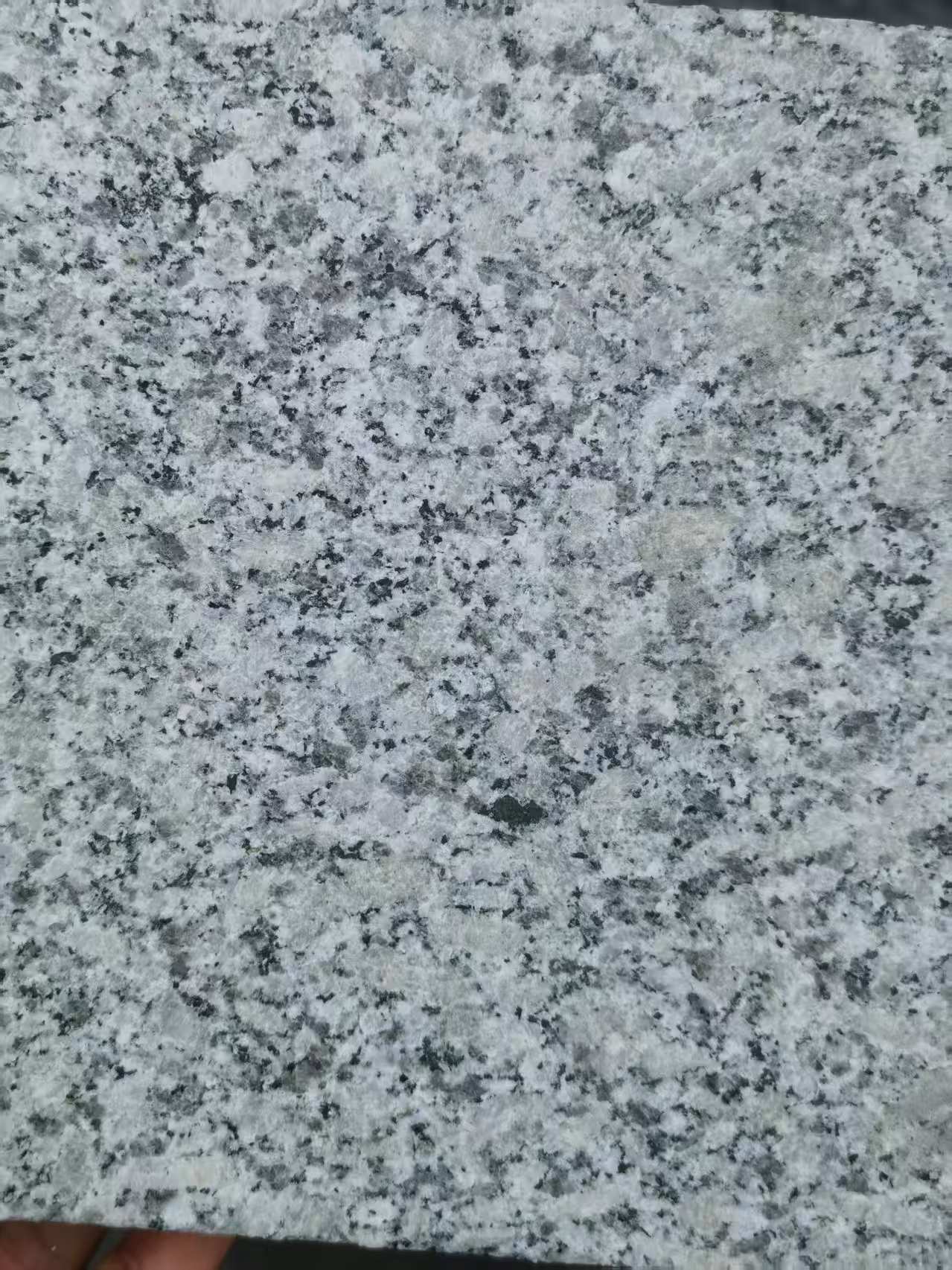 扬州 芙蓉白火烧面