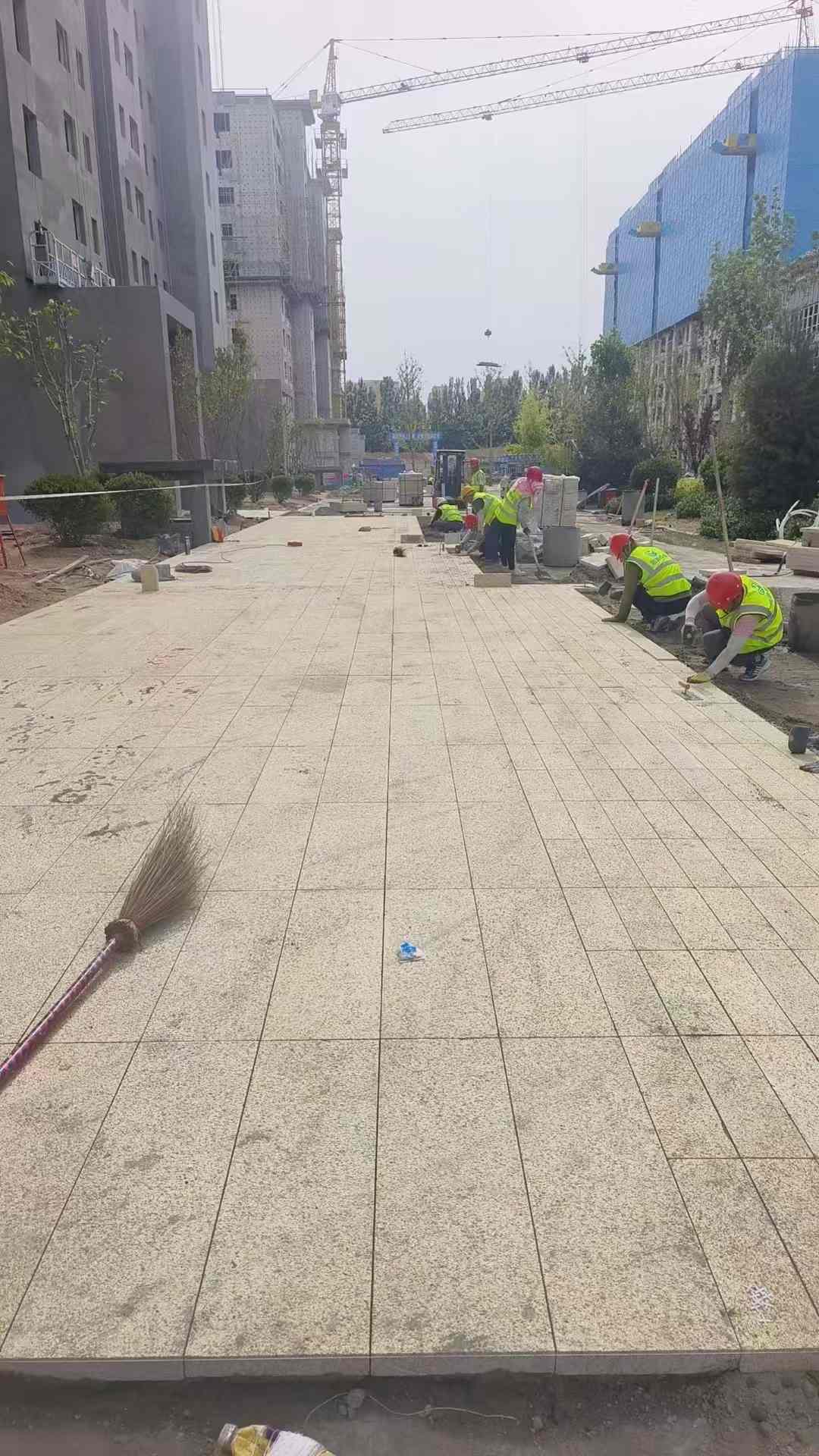 扬州黄金麻荔枝面地铺案例